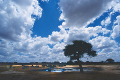 Afrika-001-b-Neo-4k-d