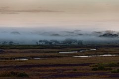 V01-846A1620_XD_4k-Ndutu-Nebel