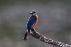 DCJ_4722-4k-scaled