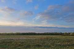 010 2015 Herbst Heinersdorf 2952 hd