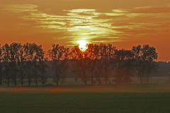 437 2015 Trappengebiet_3154 hd