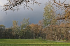 501 2015 Herbst 4309 hd
