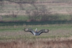 IMG_5527_4k