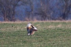 IMG_5549-4k
