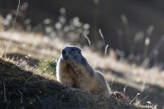 b_846A9634_DxO9-4k b_846A9634_DxO9-4k