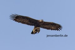 g_846A9509_DxO9-4k-copy g_846A9509_DxO9-4k-copy