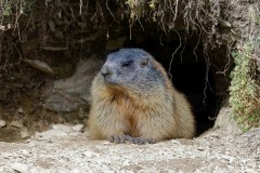 h_846A9471_DxO9-4k h_846A9471_DxO9-4k