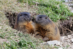 i-846A9465_DxO9-4k i-846A9465_DxO9-4k