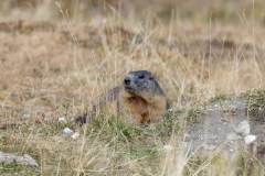 j-846A9565_DxO9-4k j-846A9565_DxO9-4k