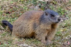 k-846A9495_DxO9-4k k-846A9495_DxO9-4k