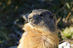 l-846A8565_DxO9-4k l-846A8565_DxO9-4k