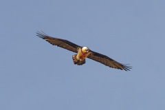 m-846A8926_DxO9-4k m-846A8926_DxO9-4k