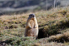 p-846A8257_DxO9-4k p-846A8257_DxO9-4k