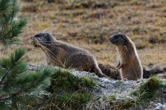 r-846A9503_DxO9-4k r-846A9503_DxO9-4k