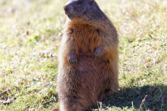 s-846A8510_DxO9-4k s-846A8510_DxO9-4k