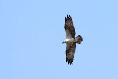 DCJ_2708_crop-16x9-1-scaled