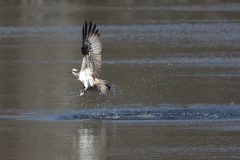 DCJ_4718-DPP-16x9-1-scaled