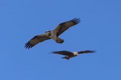 DCJ_4796-DPP-16x9-1-scaled