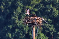 IMG_9588-Luminar-16x9-1-scaled