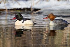 03-DCJ_8852DxO8_xd2s-4k-scaled