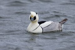 04-DCJ_1975DxO8_xd2s-scaled