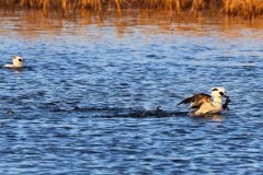 07-IMG_3121DxO8_xd2s-4k-scaled