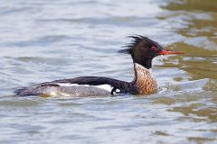 08-R5II3740_XD2s_16x9-scaled