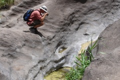 126 Masca 06 DSC06830
