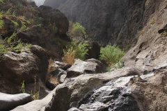 127 Masca 2012 a