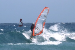 226 08 surfen mole 2