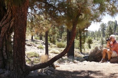 Teneriffa 2008