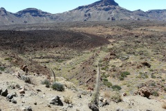 320 Teide Canadas