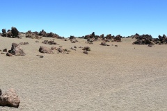 Teneriffa 2008