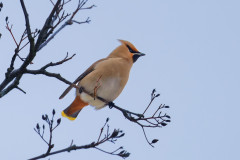 Se-R5II1220_DxO9-XD2s-4k