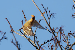 Se-R5II1729_DxO9-XD2s-4k